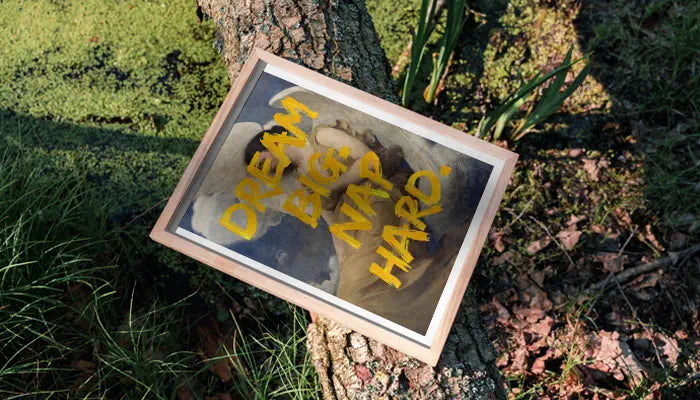 natürlich gerahmtes Poster auf Baum